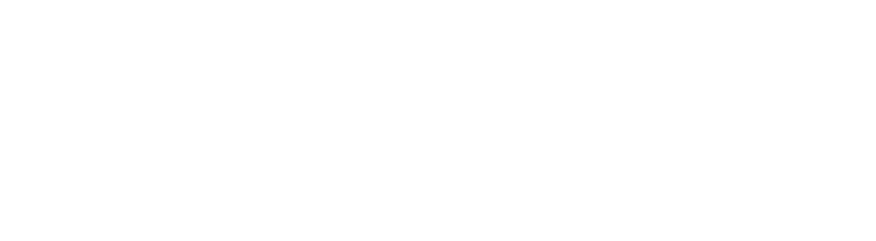lanstar systems logo